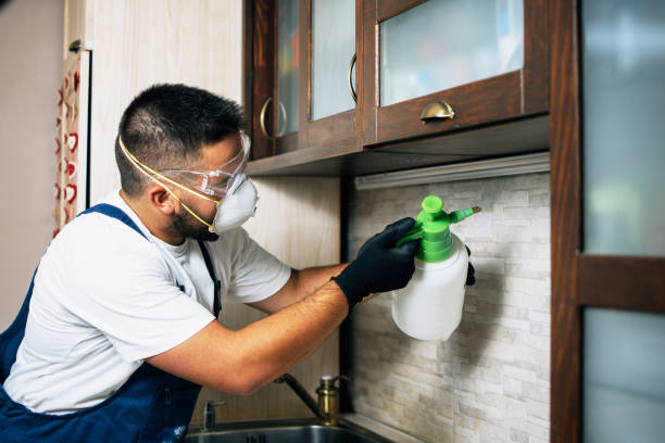 Best Flea Control Services  in Winsted, CT